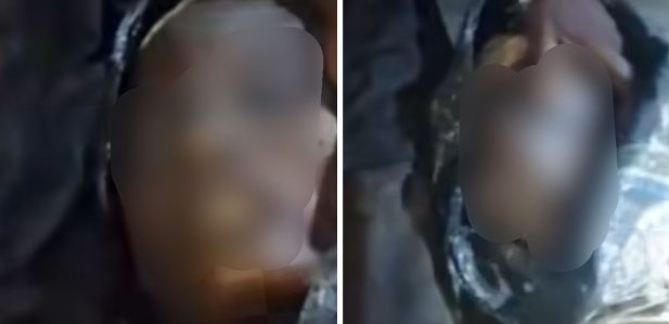 Two arrested in Oyo with fresh human skull Two arrested in Oyo with fresh human skull