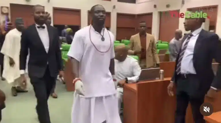 VeryDarkMan storms National Assembly in unique fashion