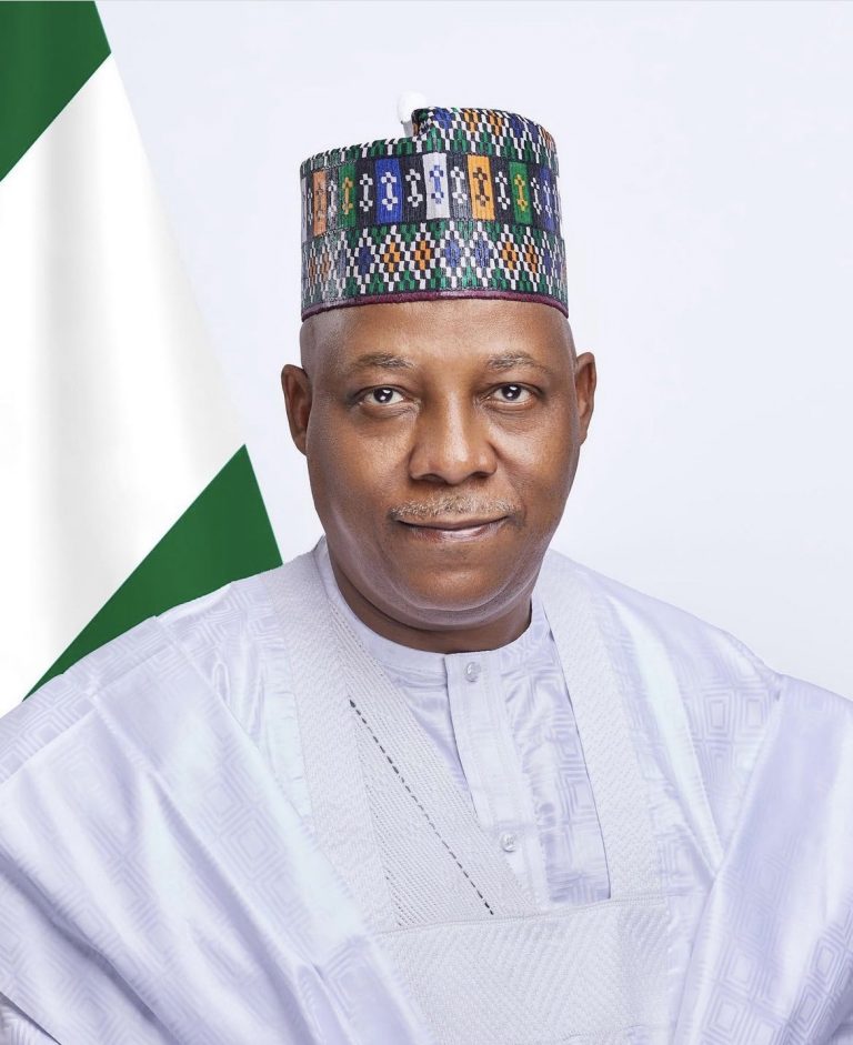 Shettima pledges 50 bags of rice for flood victims in Maiduguri Shettima pledges 50 bags of rice for flood victims in Maiduguri