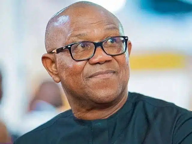 Peter Obi clarifies position on 2027 elections, dismisses VP rumors