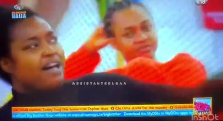 BBNaija S9: Moment Chinwe and Nelly got into a heated argument 