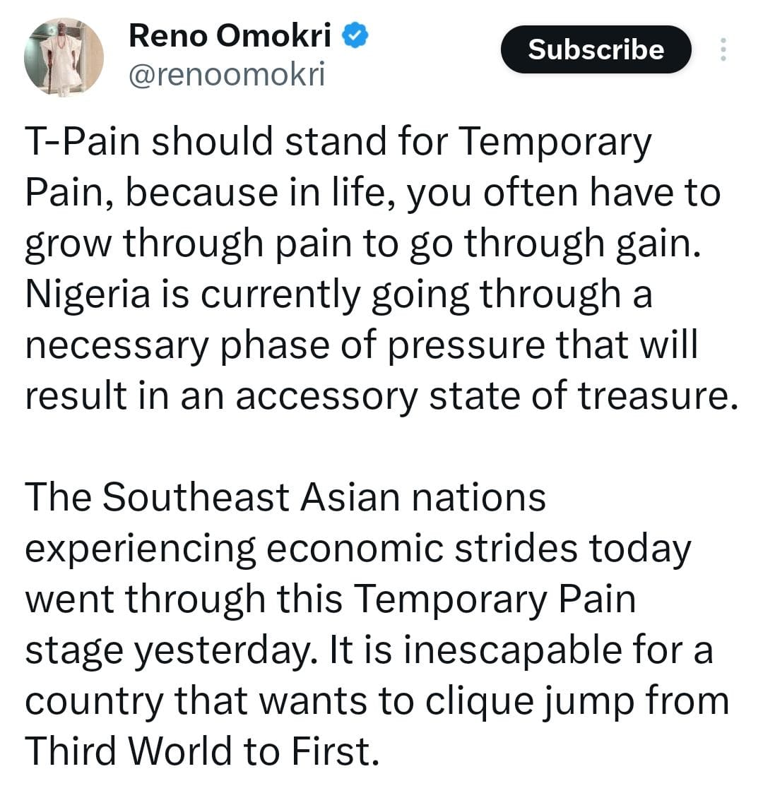 T-Pain now means Temporary Pain - Reno Omokri defends Tinubu