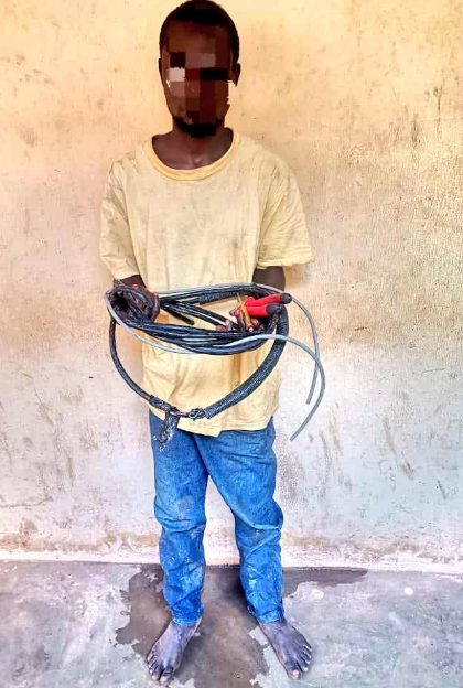 Man ARRESTED for vandalizing telecom mast 
