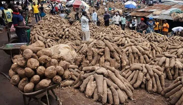 Two in Court for allegedly stealing 20 tubers of yam Two in Court for allegedly stealing 20 tubers of yam