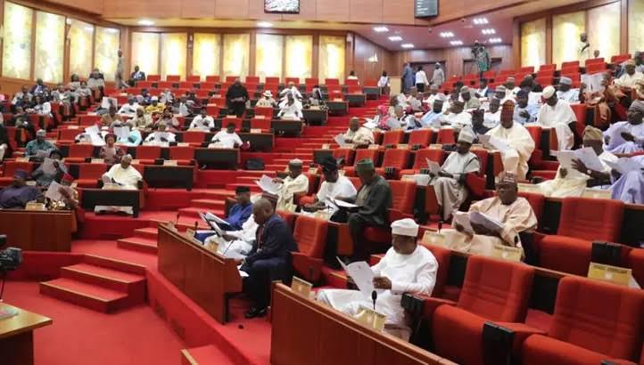 Senate condemns Libya's unfair treatment of Super Eagles, demands apology Senate condemns Libya's unfair treatment of Super Eagles, demands apology