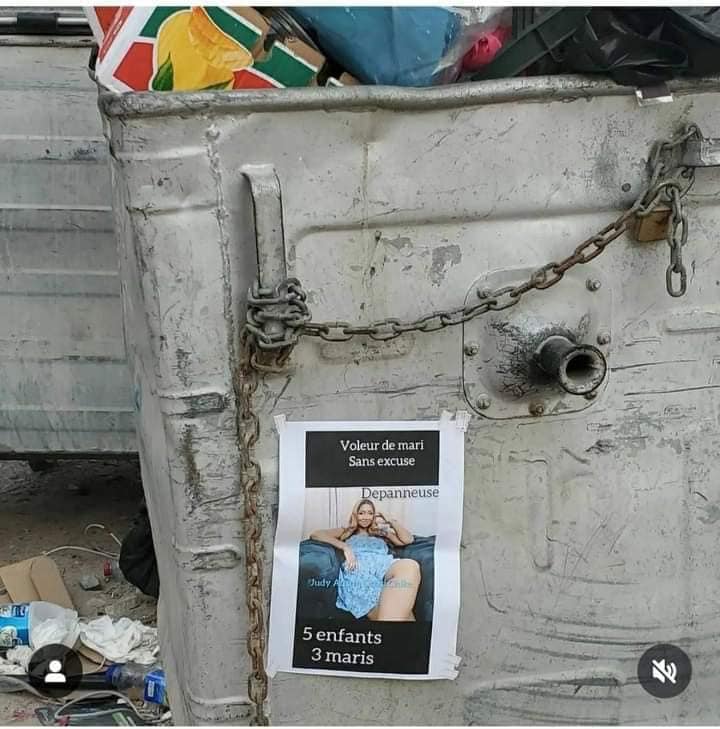 Photos of Judy Austin posted across a street with ridiculing write-up
