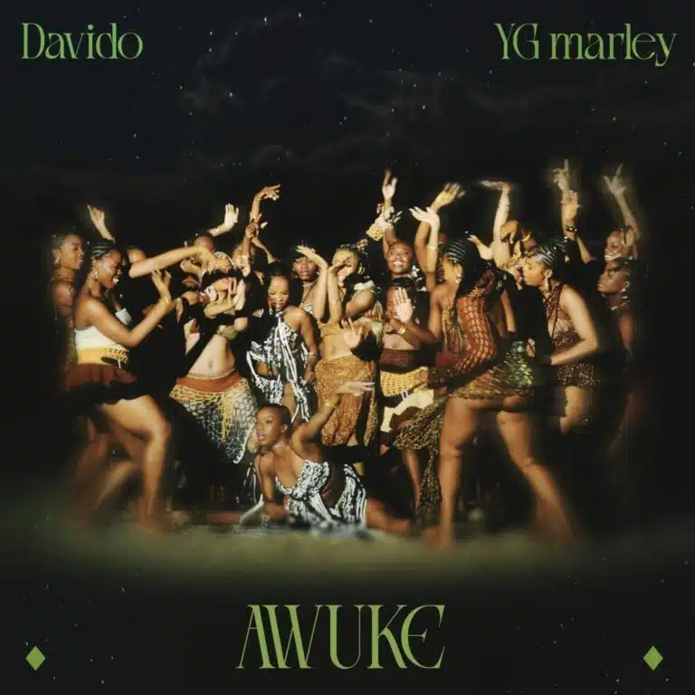 Davido breaks Spotify record with "Awuke"