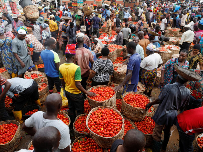 Nigeria's inflation rose to 34.60% in November — NBS Nigeria's inflation rose to 34.60% in November — NBS