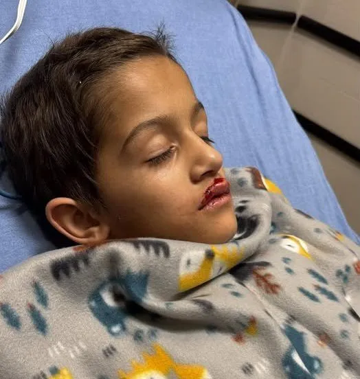 Young boy ‘fighting for his life’ after being hit by Christmas light show drone