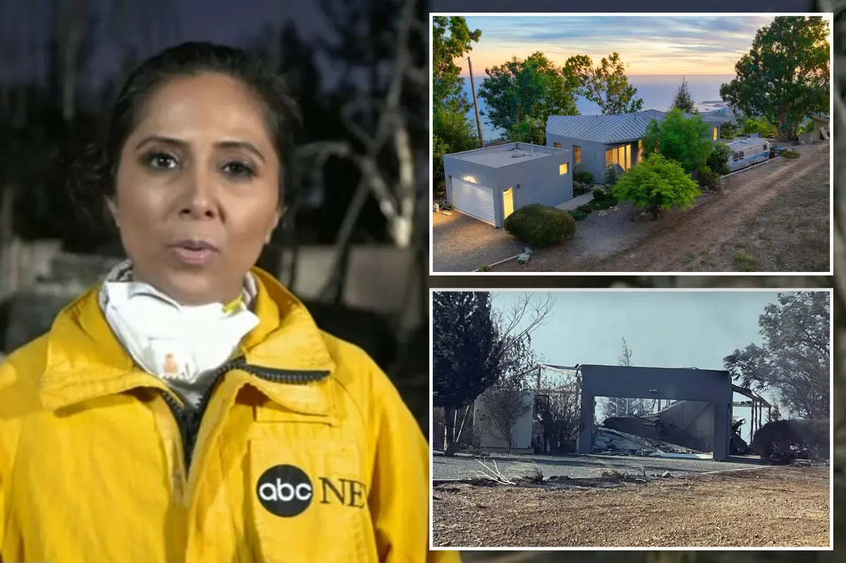 ABC news reporter lost 'dream home' in LA fires just ONE night after she moved in ABC news reporter lost 'dream home' in LA fires just ONE night after she moved in