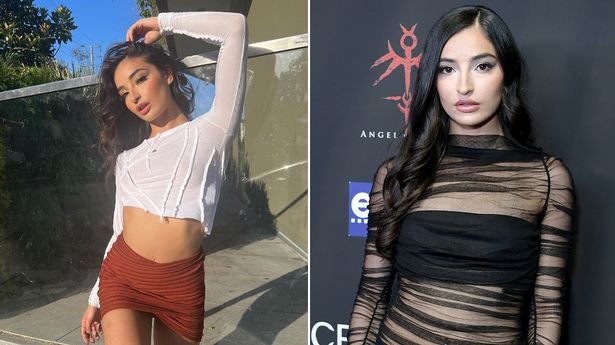 P*rn star ‘permanently disabled’ after seeking treatment for a serious drug addiction P*rn star 'permanently disabled' after seeking treatment for a serious drug addiction