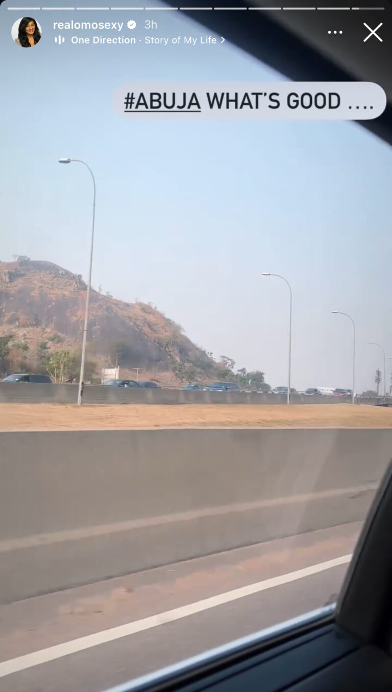 Omotola Jalade-Ekeinde rscapes LA Wildfires, returns to Nigeria