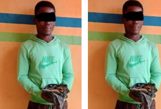 Man allegedly po!soning cows in Ogun Man allegedly po!soning cows in Ogun