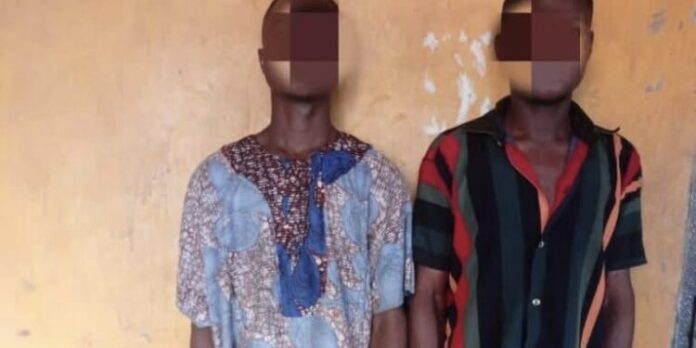 Man steals goat for daughter’s naming Man steals goat for daughter’s naming