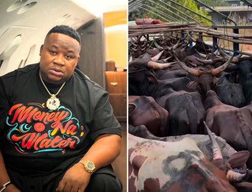 Cubana Chiefpriest gifts friend 47 cows for mother's burial Cubana Chiefpriest gifts friend 47 cows for mother's burial
