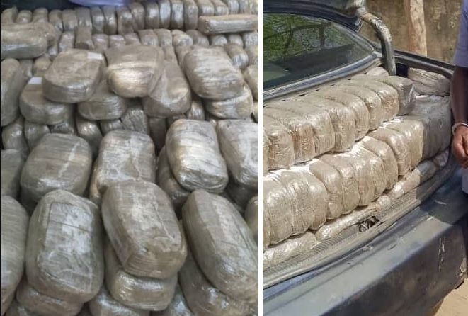 Fake policeman caught with 495kgs of Indian hemp Fake policeman caught with 495kgs of Indian hemp