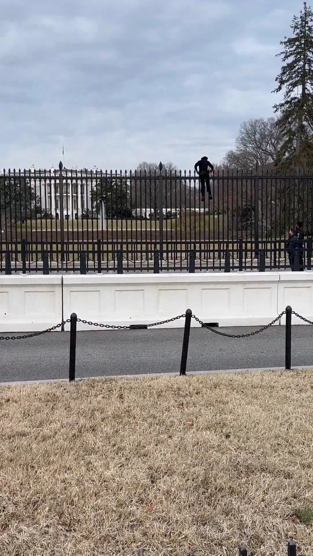 Man caught scaling White House fence