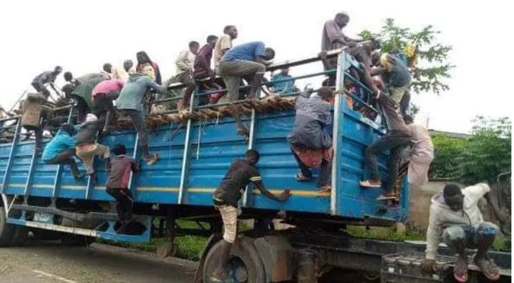 FRSC to impound vehicles moving animals with humans FRSC to impound vehicles moving animals with humans