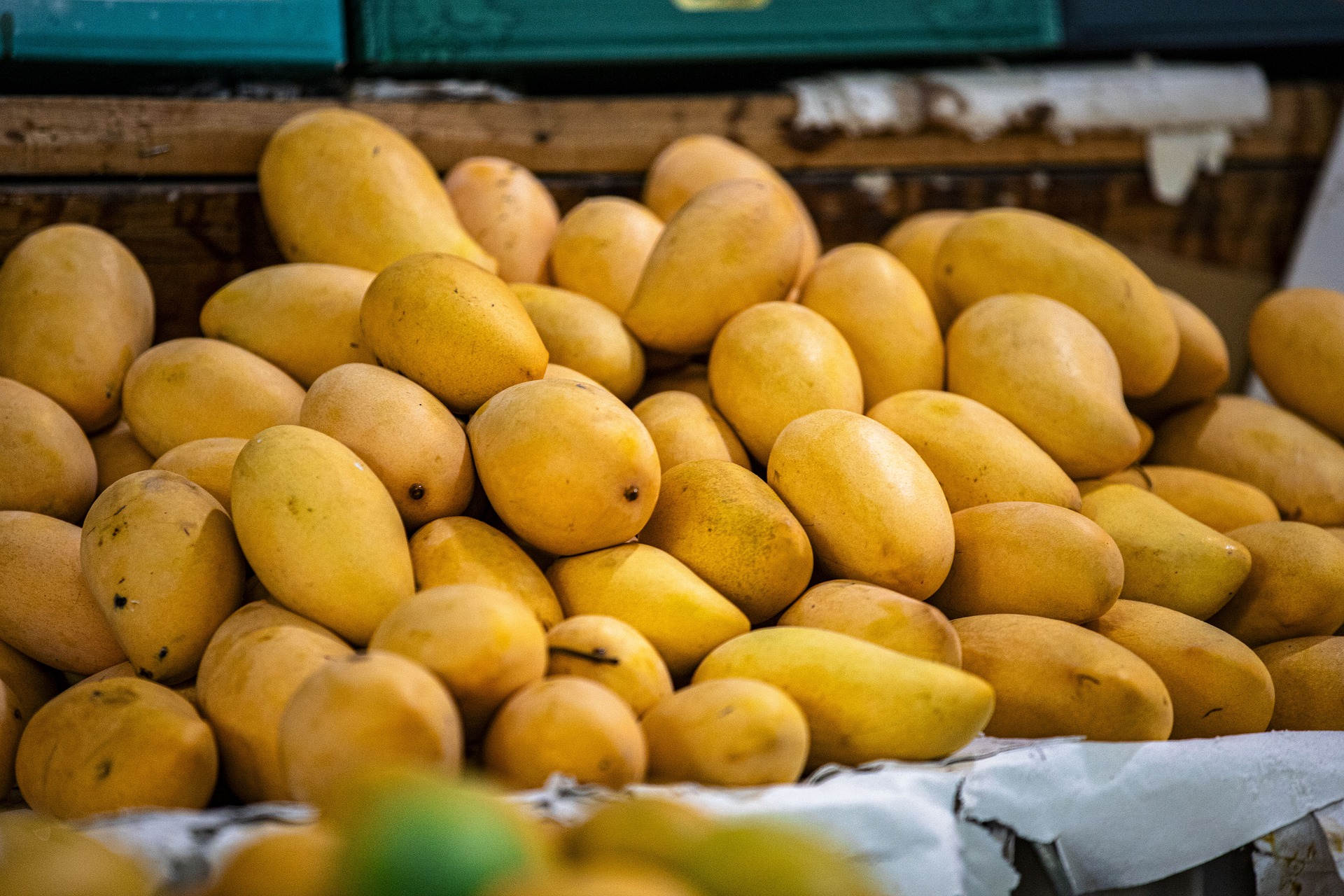 Man K!lls brother over mango Man K!lls brother over mango