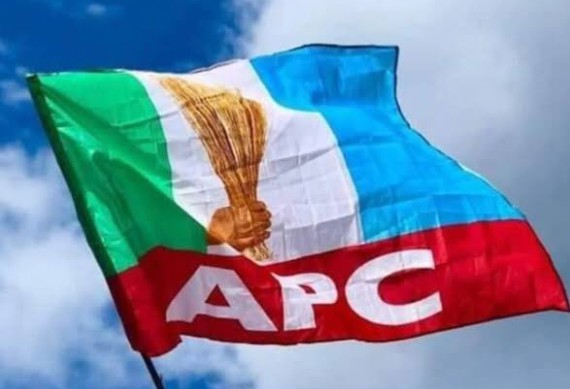 APC governors endorse Tinubu for 2027 presidential election APC governors endorse Tinubu for 2027 presidential election