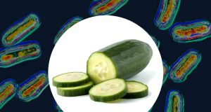 Cucumbers recalled after more than 20 people are sickened Cucumbers recalled after more than 20 people are sickened