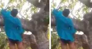 Pregnant woman found HANGING on tree Pregnant woman found HANGING on tree