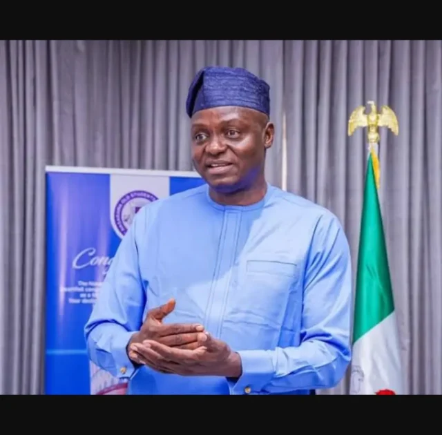 We'll use AI to identify poor people in rural areas - FG