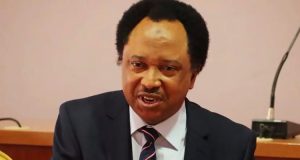 Tinubu’s re-election is a done deal if coalition fails – Shehu Sani Tinubu’s re-election is a done deal if coalition fails - Shehu Sani