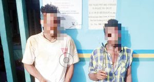 Two streetlight cable vandals ARRESTED Two streetlight cable vandals ARRESTED