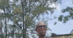 Peter Obi laments unlawful demolition of brother’s property in Lagos Peter Obi laments after Lagos Govt demolish brother's property
