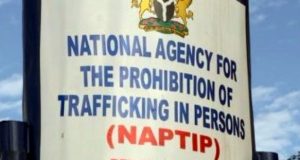 Anambra youths now producing babies for sale, NAPTIP says Anambra youths now producing babies for sale, NAPTIP says