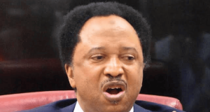 El-Rufa’i, Amaechi architects of banditry, hunger – Shehu Sani alleges El-Rufa’i, Amaechi architects of banditry, hunger – Shehu Sani alleges