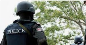 Girl fakes own kidnap, abducts four-year-old sister Girl fakes own kidnap, abducts four-year-old sister