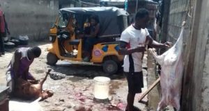 Lagos seals another illegal Abattoir in Agege Lagos seals another illegal Abattoir in Agege
