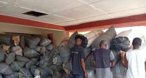NDLEA seizes 2,687 tonnes of cannabis NDLEA seizes 2,687 tonnes of cannabis