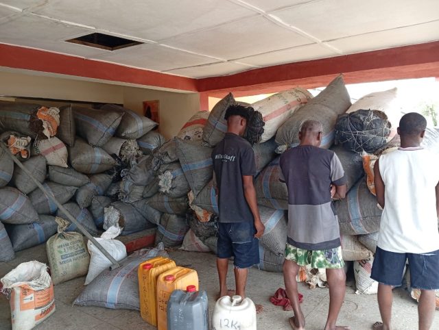 NDLEA seizes 2,687 tonnes of cannabis NDLEA seizes 2,687 tonnes of cannabis