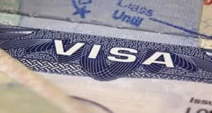 Nigeria affected as Saudi Arabia suspends blockwork visa Nigeria affected as Saudi Arabia suspends blockwork visa