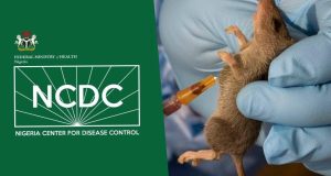 Nigeria records 145 Lassa fever de.aths in 2025 Nigeria records 145 Lassa fever de.aths in 2025