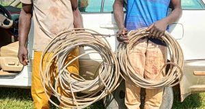 Police arrest THREE electricity cable thieves Police arrest THREE electricity cable thieves