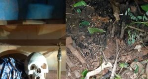 Police raid Enugu ‘church,’ recover human skull, other ritual items Police raid Enugu ‘church,’ recover human skull, other ritual items