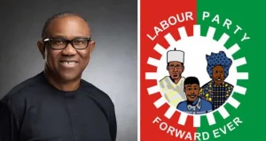 Abure is an impostor – LP caretaker backs Peter Obi Abure is an impostor - LP caretaker backs Peter Obi