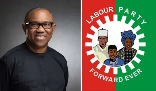 Abure is an impostor - LP caretaker backs Peter Obi Abure is an impostor - LP caretaker backs Peter Obi