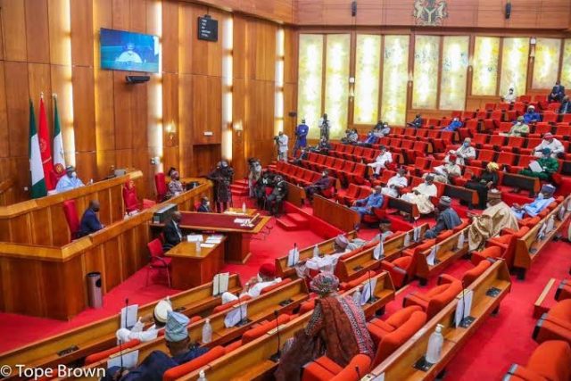 Natasha remains suspended - Senate Natasha remains suspended - Senate