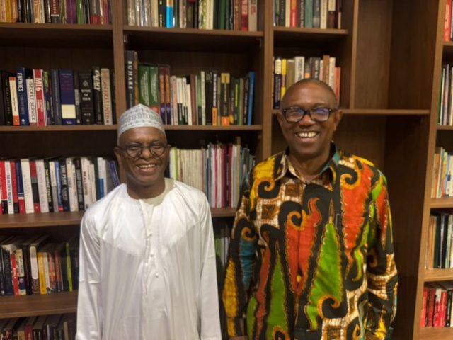 Peter Obi visits El-Rufai in Abuja