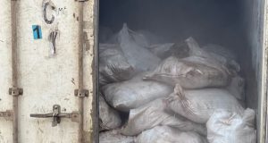 Customs intercept container of donkey genitals Customs intercept container of donkey genitals
