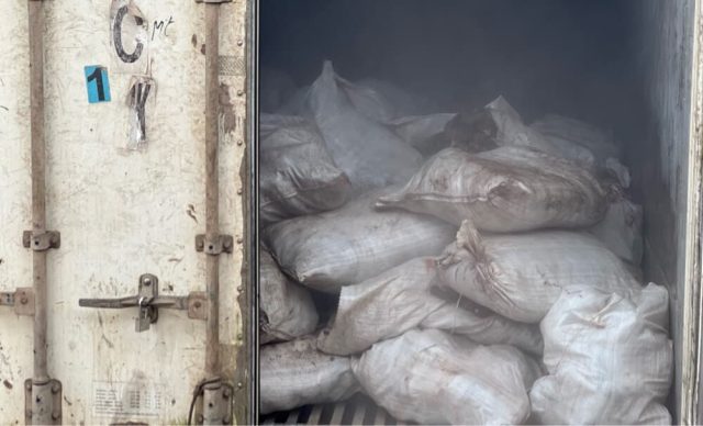 Customs intercept container of donkey genitals