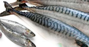 FG to end fish importation