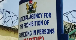 NAPTIP rescues 170 trafficked persons in Borno NAPTIP rescues 170 trafficked persons in Borno