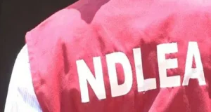 Drug dealers k!ll NDLEA officer Drug dealers k!ll NDLEA officer