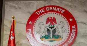 Court fines Natasha Akpoti N5m over Facebook post Court fines suspended Natasha for N5m